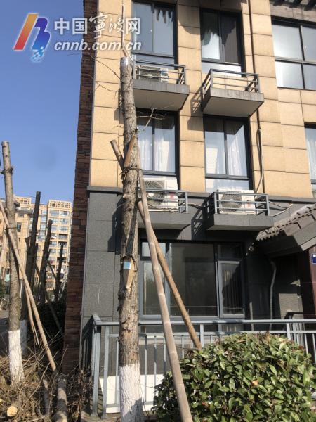 宁波小区最新爆料,业主爆料,真相令人震惊! 第2张 宁波小区最新爆料,业主爆料,真相令人震惊! 第2张