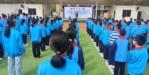 西航二中最新爆料事件,校园事件引发热议