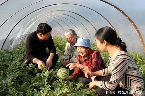 西藏扎西枫丹娱乐吃瓜,吃瓜群众眼中的神秘娱乐王国 第2张 西藏扎西枫丹娱乐吃瓜,吃瓜群众眼中的神秘娱乐王国 第2张